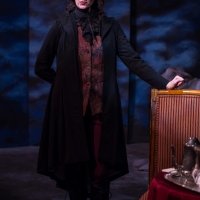 The Hound of the Baskervilles